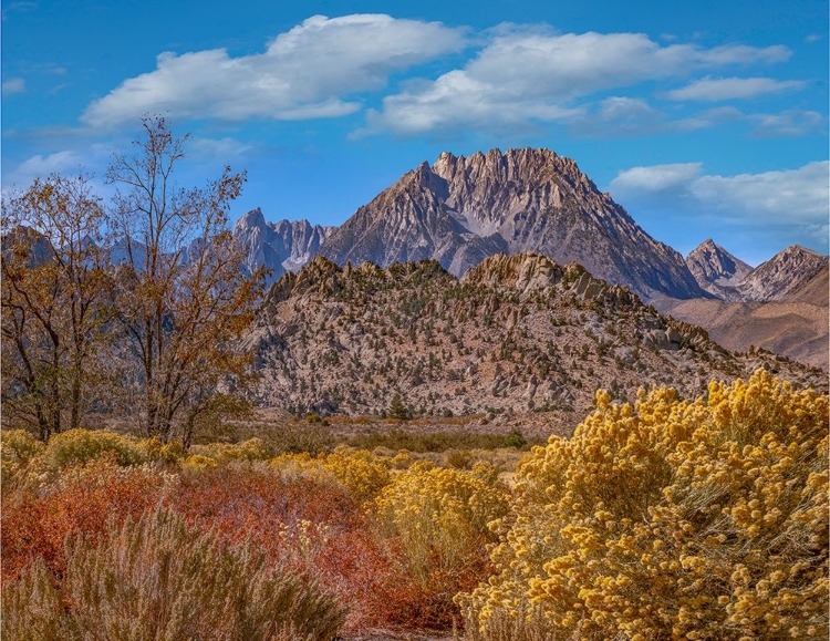 Picture of SIERRA NEVADA FROM BUTTERMILK ROAD NEAR BISHOP-CALIFORNIA-USA