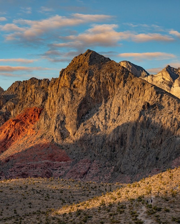 Picture of CALICO HILLS-RED ROCK CANYON NATIONAL CONSERVATION AREA-NEVADA