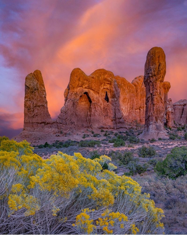 Picture of PARADE OF THE ELEPHANTS SANDSTONE FORMATION-ARCHES NATIONAL PARK-UTAH