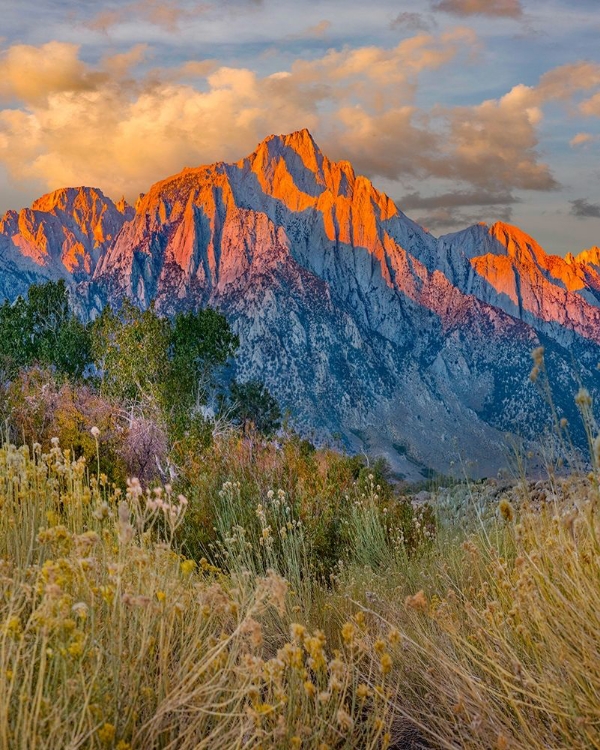 Picture of LONE PINE PEAK-EASTERN SIERRA-CALIFORNIA-USA