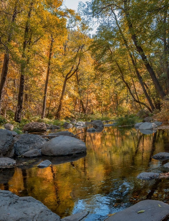 Picture of OAK CREEK NEAR SEDONA-ARIZONA-USA