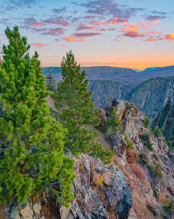 Picture of TOMICHI POINT-BLACK CANYON OF THE GUNNISON NATIONAL PARK-COLORADO