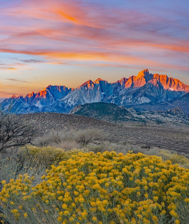 Picture of SIERRA NEVADA FROM BUTTERMILK ROAD NEAR BISHOP-CALIFORNIA-USA