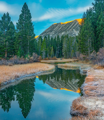 Picture of ROCK CREEK. INYO NATIONAL FOREST-CALIFORNIA-USA