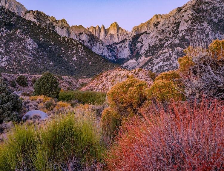 Picture of MOUNT WHITNEY-SEQUOIA NATIONAL PARK INYO-NATIONAL FOREST-CALIFORNIA