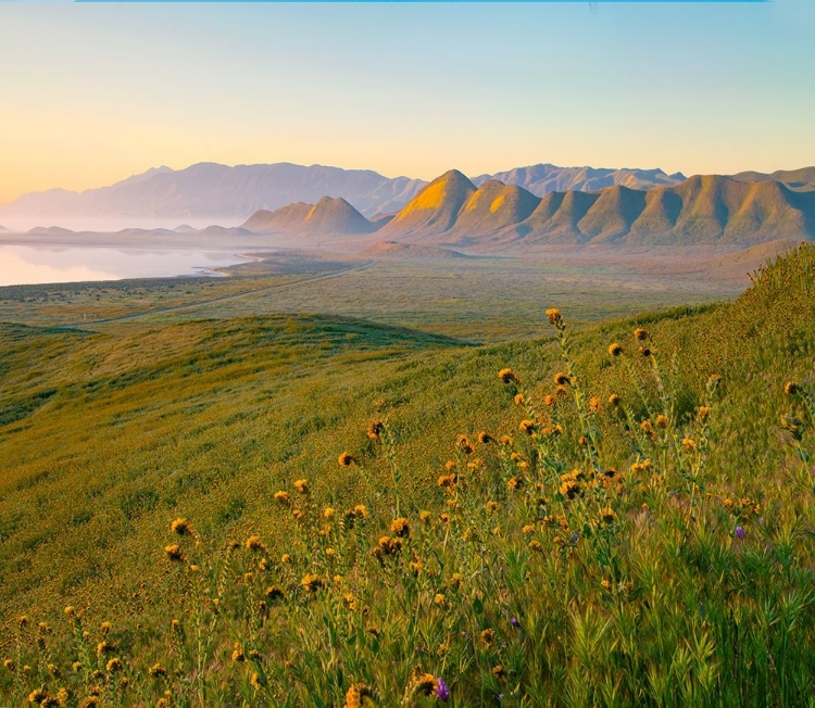 Picture of SUNRISE AT SODA LAKE