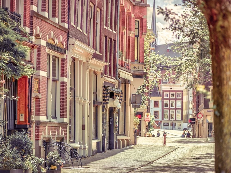 Picture of CITY STREET-AMSTERDAM