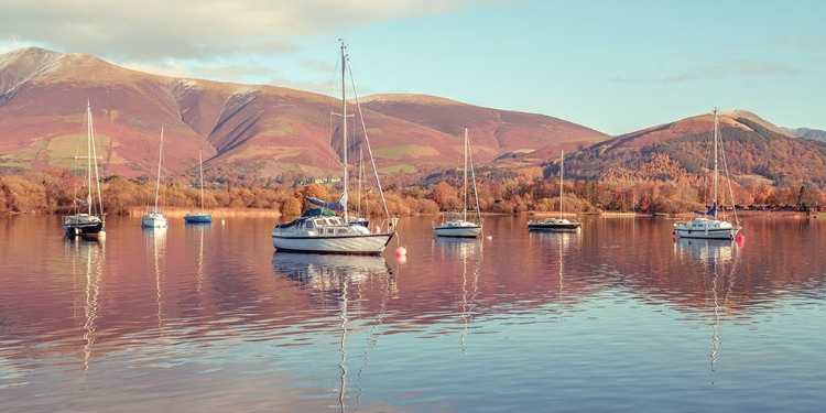 Picture of SAIL BOATS IN LAKE