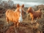 Picture of HORSES IN FOREST