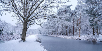 Picture of CANAL THROUGH FOREST