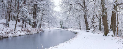 Picture of CANAL THROUGH FOREST