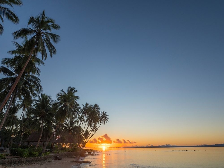 Picture of FIJI-VANUA LEVU BEACH SUNSET WITH PALM TREES