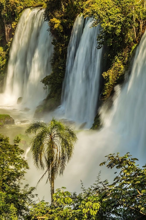 Picture of BRAZIL-IGUAZU FALLS LANDSCAPE OF WATERFALLS 