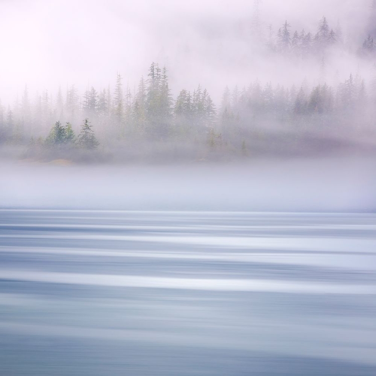 Picture of ALASKA-ENDICOTT ARM FOGGY MORNING AT FORDS TERROR