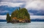 Picture of PRINCE WILLIAM SOUND-ALASKA-VALDEZ-ISLAND-EVERGREEN TREES-AUTUMN-FOG