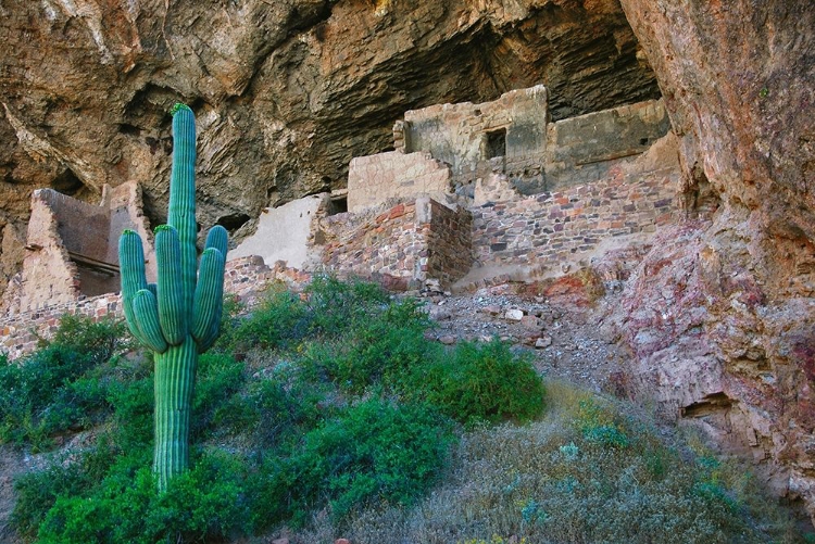 Picture of TONTO NATIONAL MONUMENT-ARIZONA-USA