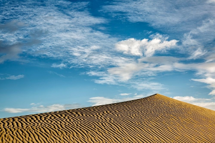 Picture of CALIFORNIA-DEATH VALLEY NATIONAL PARK-EARLY MORNING ON THE MESQUITE FLAT DUNES