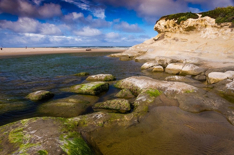 Picture of SAN GREGORIO BEACH-BIG SUR-CALIFORNIA-USA