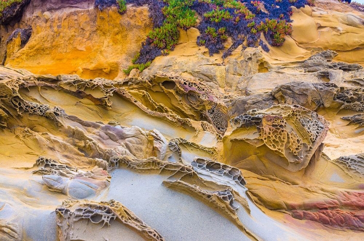 Picture of ROCKY FORMATIONS AT BEAN HOLLOW BEACH-CALIFORNIA-USA
