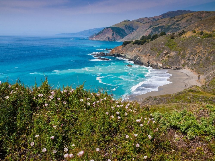 Picture of BIG SUR COASTAL CLIFFS-CALIFORNIA-USA