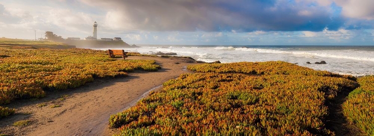 Picture of BIG SUR AREA-CALIFORNIA-USA