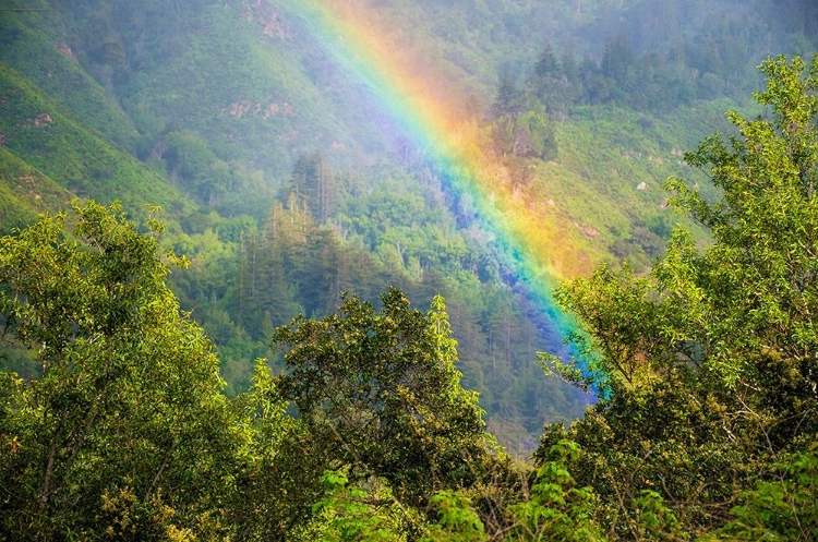 Picture of RAINBOW IN ANDREW MOLERA STATE PARK-CALIFORNIA-USA