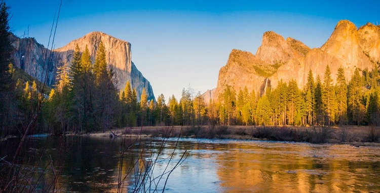 Picture of MERCED RIVER-YOSEMITE NATIONAL PARK-CALIFORNIA-USA