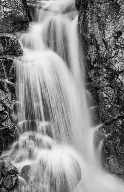 Picture of WILDCAT FALLS-YOSEMITE