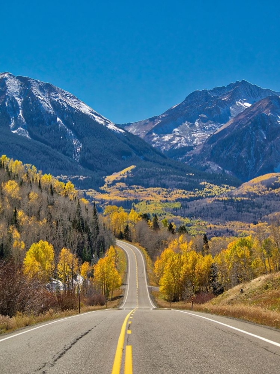 Picture of COLORADO AN EMPTY COLORADO HIGHWAY 145 IN MIDDAY SURROUNDED BY FALL COLOR NEAR TELLURIDE-COLORADO