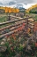 Picture of A LOG FENCE LEADS TO THE HORIZON ON DALLAS DIVIDE NEAR TELLURIDE IN THE COLORADO ROCKY MOUNTAINS