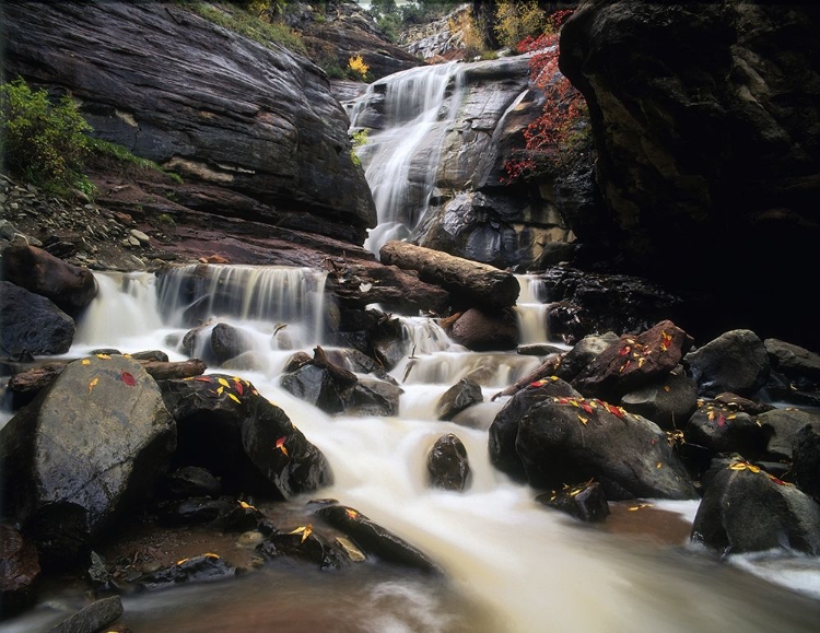 Picture of HAYES CREEK FALLS IN COLORADO ROCKY MOUNTAINS NEAR REDSTONE