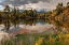 Picture of A TRANQUIL POND REFLECTS MT SNAFFLES AND FALL IN THE COLORADO ROCKY MOUNTAINS