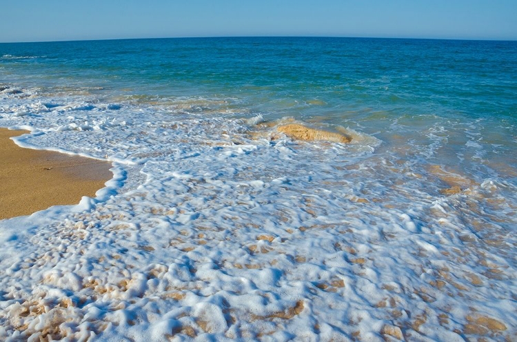 Picture of FLORIDA-SURF ON BEACH