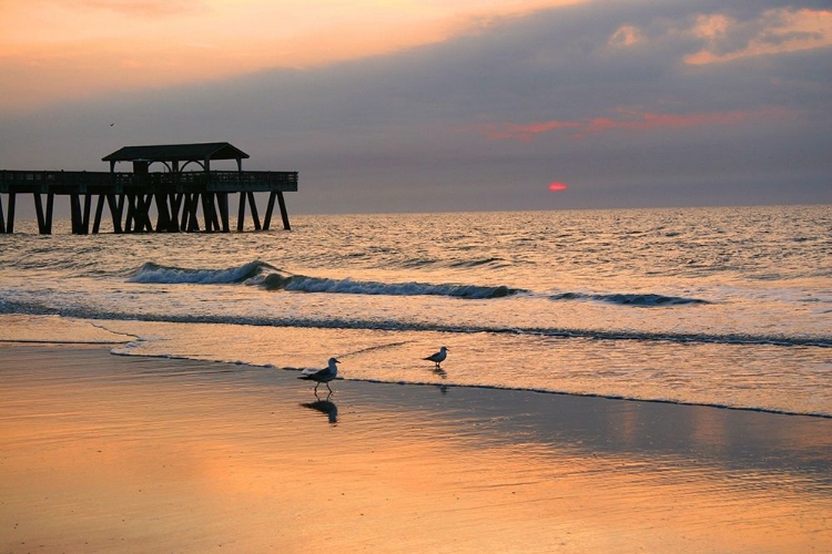 Picture of SUNRISE ON TYBEE ISLAND BEACH-GEORGIA-USA