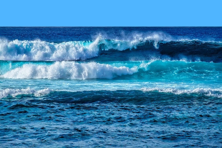 Picture of MAUI WAVES