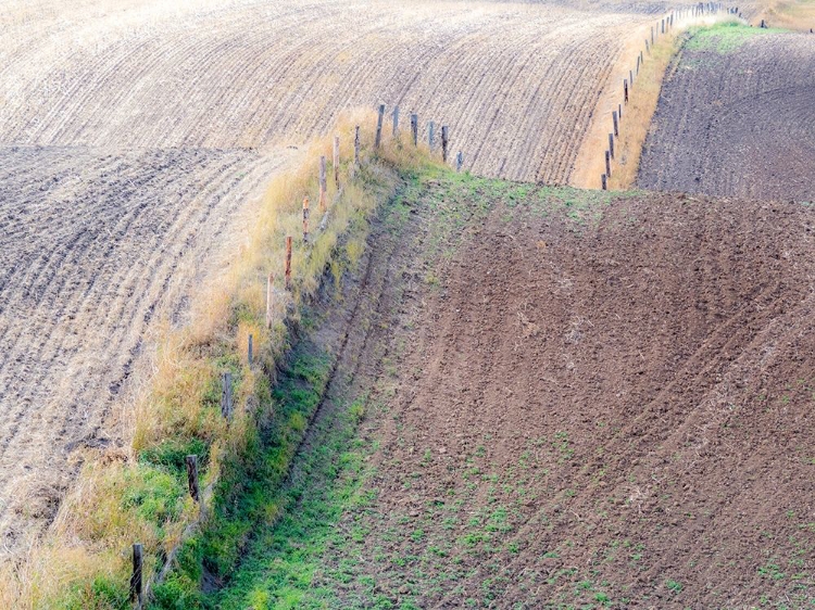 Picture of IDAHO-FENCE LINE AND ROLLING HILLS NEAR COTTONWOOD HIGHWAY 95