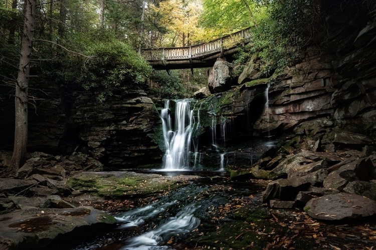 Picture of ELAKALA FALLS II