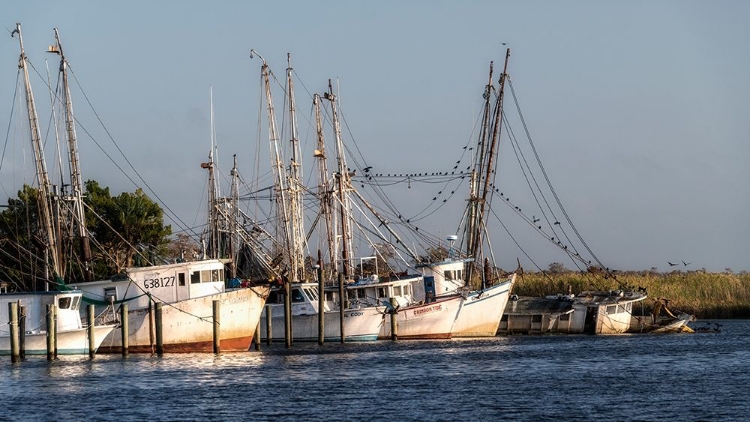 Picture of WAITING TO FISH