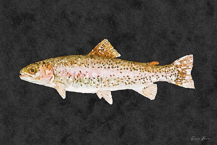 Picture of RAINBOW TROUT