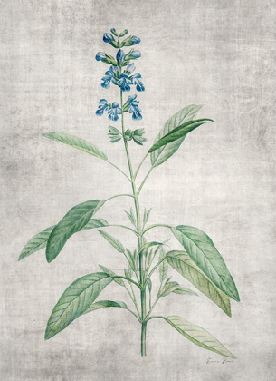 Picture of BLUE BOTANICAL 1