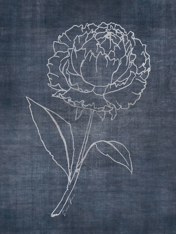 Picture of WHITE PEONY ON NAVY 1