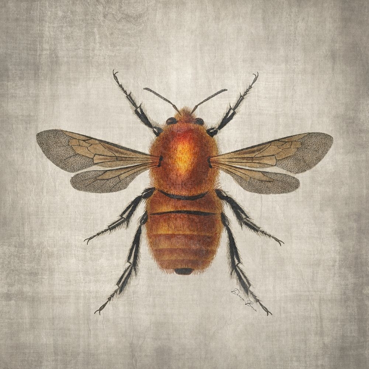 Picture of BRILLIANT BEE 1