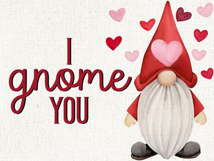 Picture of I GNOME YOU