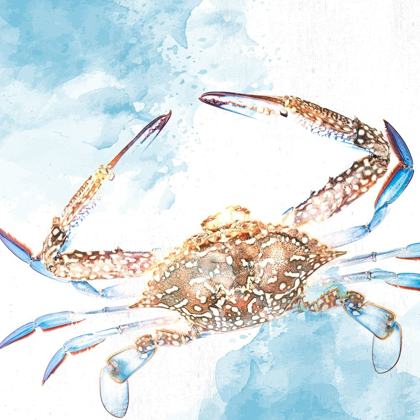 Picture of CRAB