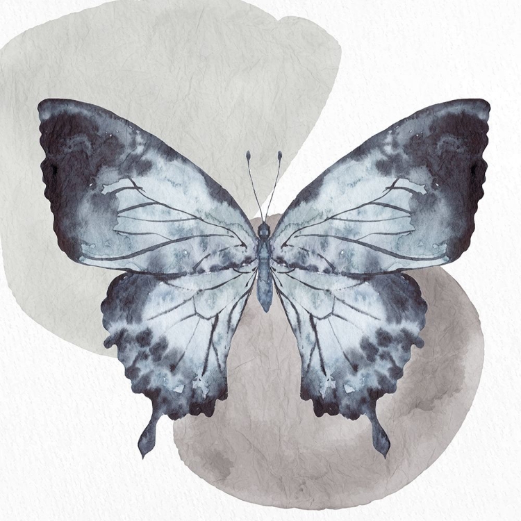 Picture of WATERCOLOR BUTTERFLY 1