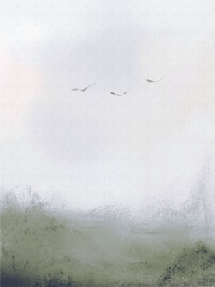 Picture of BIRDS FLYING OVER A FIELD 1