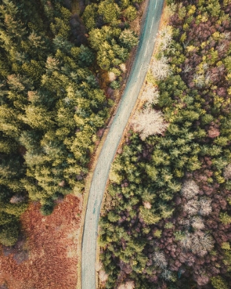 Picture of ROAD TO THE CABIN