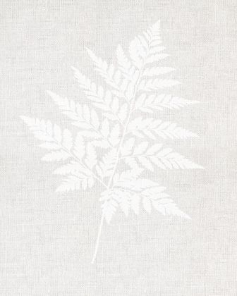 Picture of FERN WALL ART