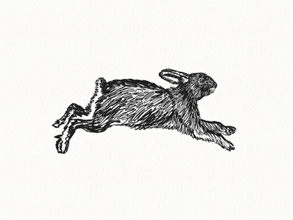 Picture of INKY HARE