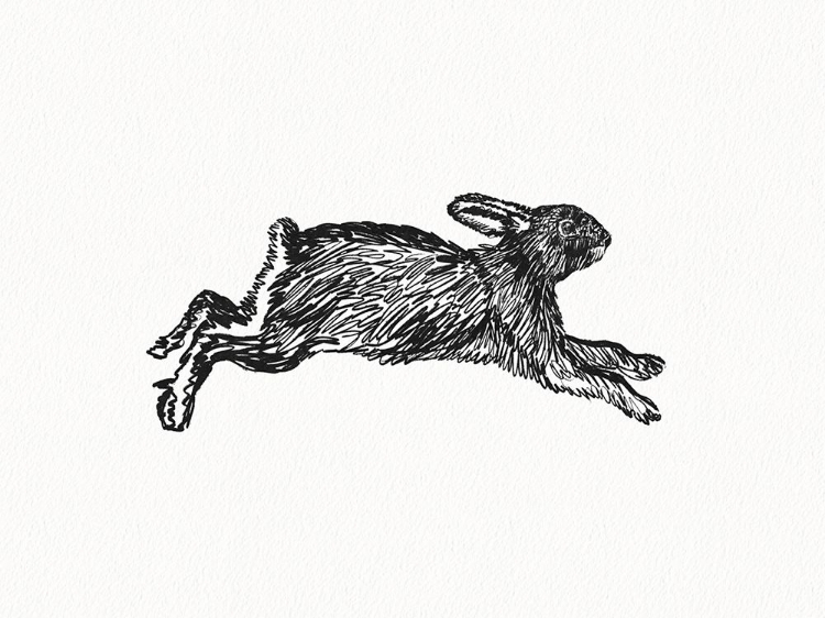 Picture of INKY HARE